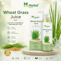 Wheatgrass-Juice-herbal-india-herbalindia.co.in-2