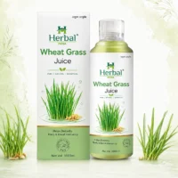 wheatgrass juice herbal india herbalindia.co.in